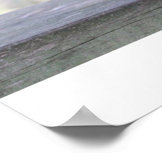 "Het Bosvierkant" Poster (Hoek)