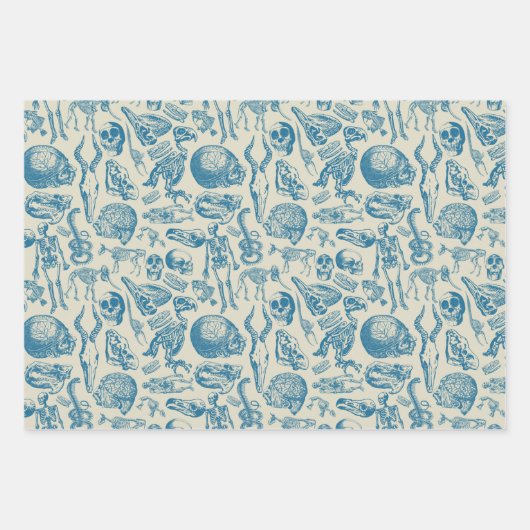 Het bot Collectie Inpakpapier Vel (Voorkant 2)