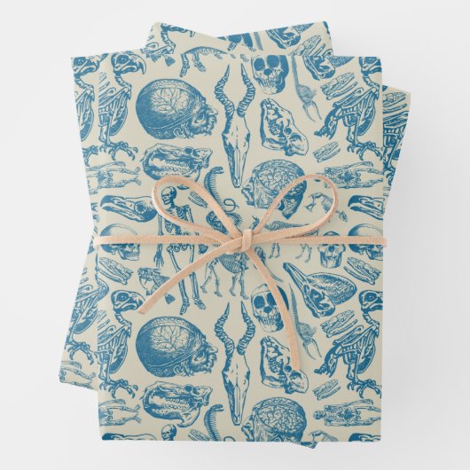 Het bot Collectie Inpakpapier Vel (In situ)