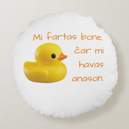 Het bot Mi fartas, Josepmi havas anason. Rond Kussen (Achterkant)