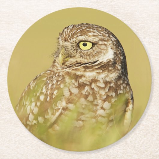 Het branden van Owl sluit Profiel op Onderzetters (Voorkant)