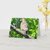 Het breed-gevleugelde Wenskaart van de Havik, Kaart (Gele Bloem)