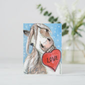 Het Briefkaart Blauwe Eyed Pinto van het Pony van (Staand voorkant)