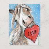 Het Briefkaart Blauwe Eyed Pinto van het Pony van (Voorkant)