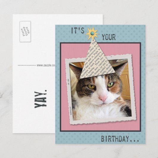 Het Briefkaart Cat Birthday bekijken (Voorkant / Achterkant)