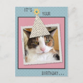 Het Briefkaart Cat Birthday bekijken (Voorkant)