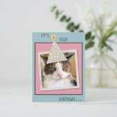 Het Briefkaart Cat Birthday bekijken (Staand voorkant)