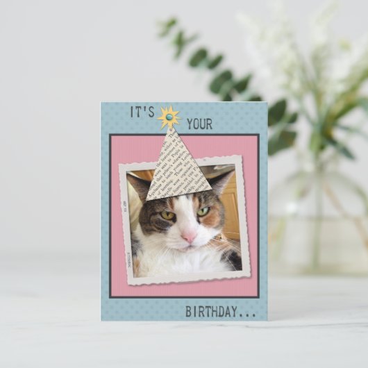 Het Briefkaart Cat Birthday bekijken (Staand voorkant)