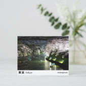 Het Briefkaart Chidorigafuchi van Tokyo (Staand voorkant)