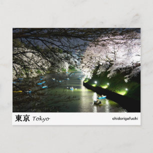 Het Briefkaart Chidorigafuchi van Tokyo