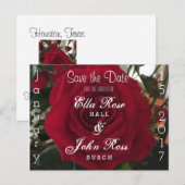 Het Briefkaart Date Roos opslaan (Voorkant / Achterkant)