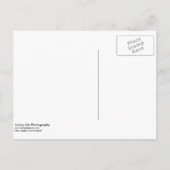 Het Briefkaart Datum opslaan (Achterkant)