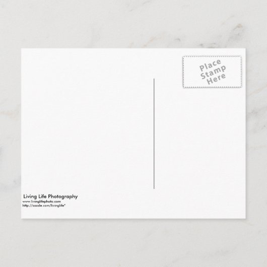 Het Briefkaart Datum opslaan (Achterkant)