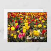 Het Briefkaart Datum opslaan (Voorkant / Achterkant)