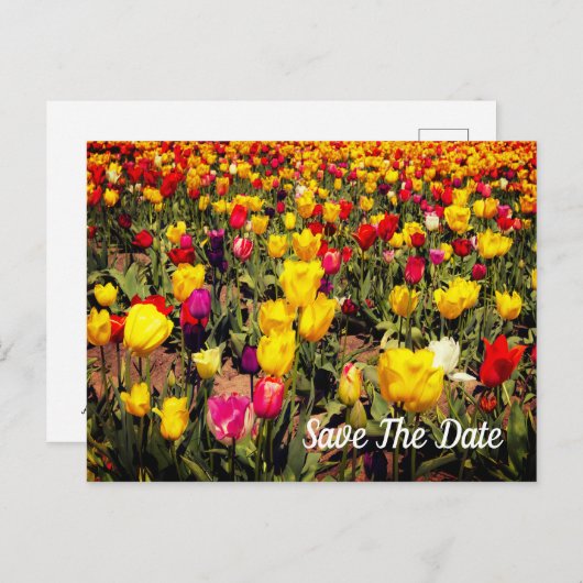 Het Briefkaart Datum opslaan (Voorkant / Achterkant)