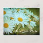 Het Briefkaart Datum opslaan (Voorkant)