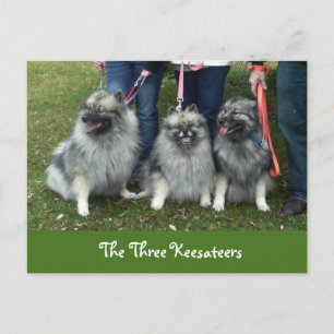 Het Briefkaart Drie Keesateers