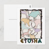 Het Briefkaart Etosha (Voorkant / Achterkant)