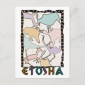 Het Briefkaart Etosha (Voorkant)