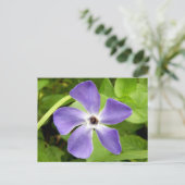 Het Briefkaart Greater Periwinkle (Staand voorkant)