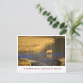 Het Briefkaart Madison Postcrossing oversteken (Staand voorkant)