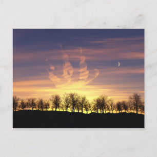 Het Briefkaart Night Sky vangen