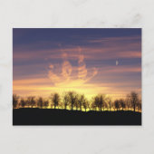 Het Briefkaart Night Sky vangen (Voorkant)