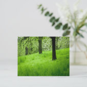 Het Briefkaart Orchard (Staand voorkant)