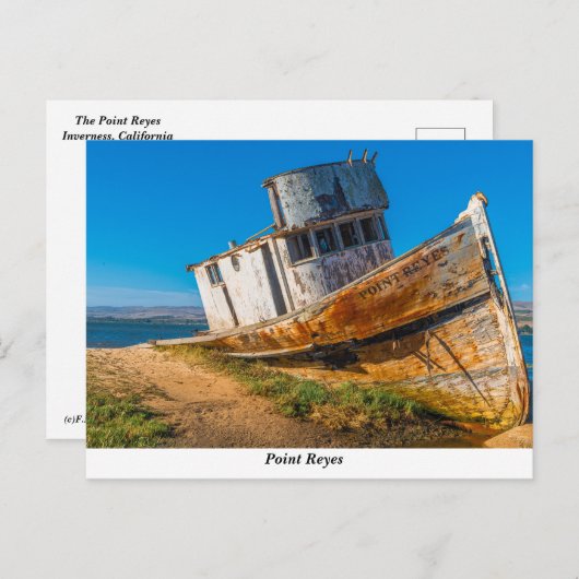 Het Briefkaart Point Reyes (Voorkant / Achterkant)