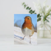 Het briefkaart Robin bevond zich op sneeuwKerstmis (Staand voorkant)