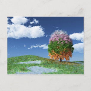 Het Briefkaart Seizoenbomen