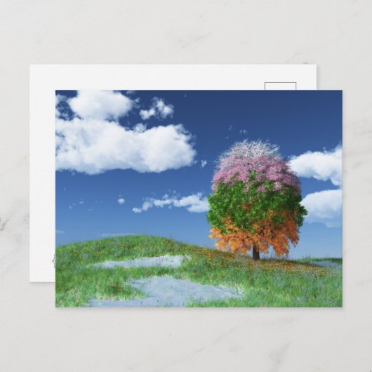 Het Briefkaart Seizoenbomen (Voorkant / Achterkant)