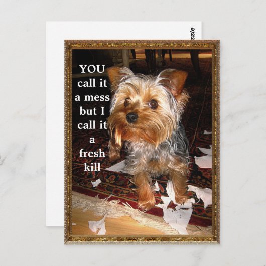 Het  Briefkaart Shredder (Voorkant / Achterkant)