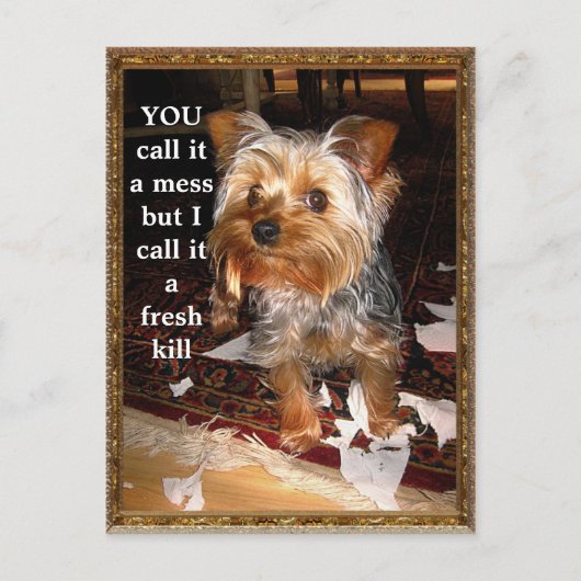 Het  Briefkaart Shredder (Voorkant)