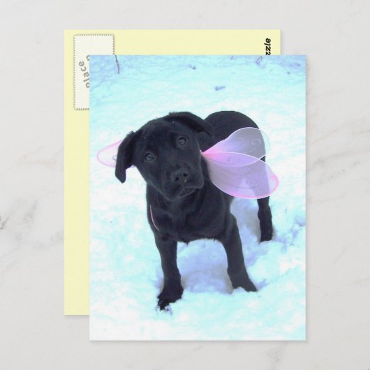 Het Briefkaart Sneeuwfeiarbeid (Voorkant / Achterkant)