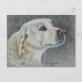 Het briefkaart van Abby (Voorkant)