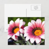 Het briefkaart van bloemen (Voorkant / Achterkant)