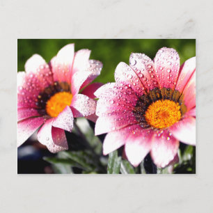 Het briefkaart van bloemen