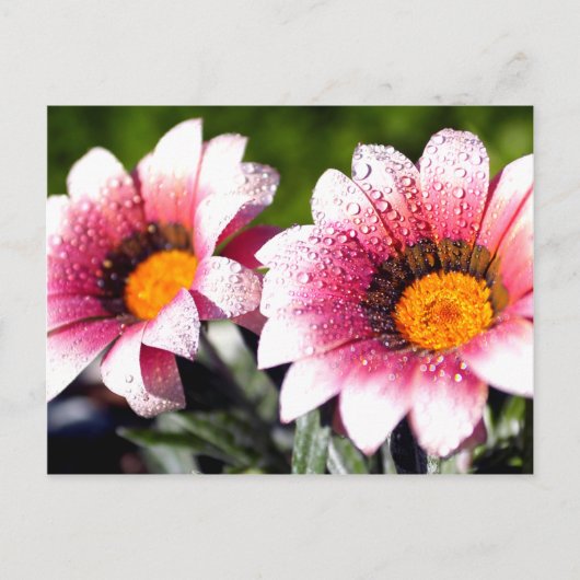 Het briefkaart van bloemen (Voorkant)