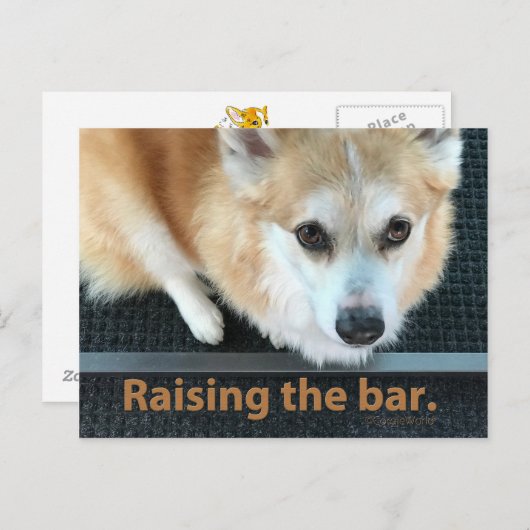 Het Briefkaart van de Bar Corgi verhogen (Voorkant / Achterkant)