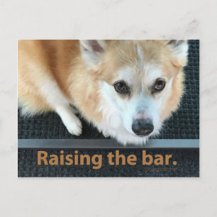 Het Briefkaart van de Bar Corgi verhogen