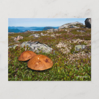 Het briefkaart van de berglandschapsfoto's. Noorwe