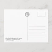 Het Briefkaart van de Birthday CC0240 van het Witt (Achterkant)