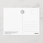 Het Briefkaart van de Birthday CC0240 van het Witt (Achterkant)