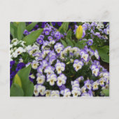 Het Briefkaart van de bloem (Voorkant)