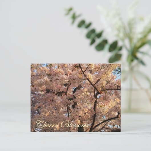 Het Briefkaart van de Bomen van de Bloesem van de (Staand voorkant)