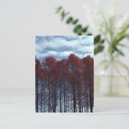 Het briefkaart van de Bomen van Sourwood (Staand voorkant)