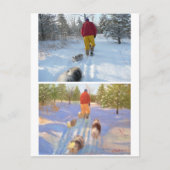 Het Briefkaart van de Bosbouw (Voorkant)