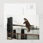 Het Briefkaart van de Brooklyn Bridge springen (Voorkant / Achterkant)