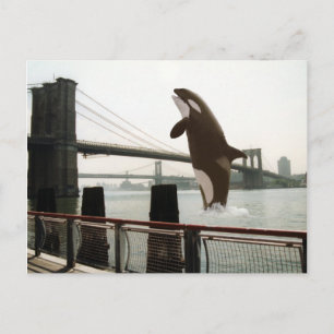 Het Briefkaart van de Brooklyn Bridge springen
